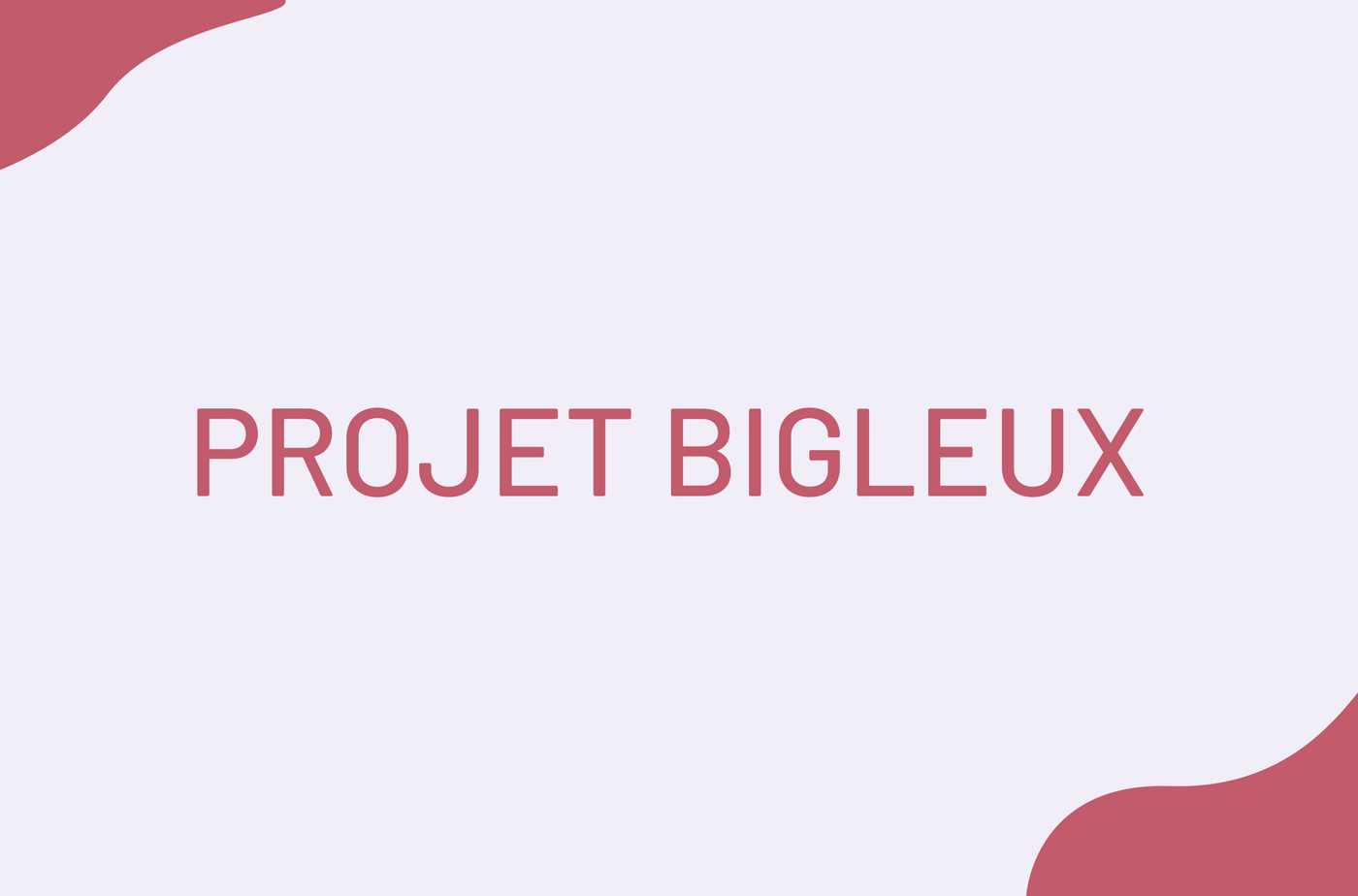 Couverture charte Bigleux